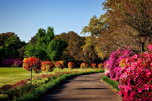 Commercial Grounds Maintenance